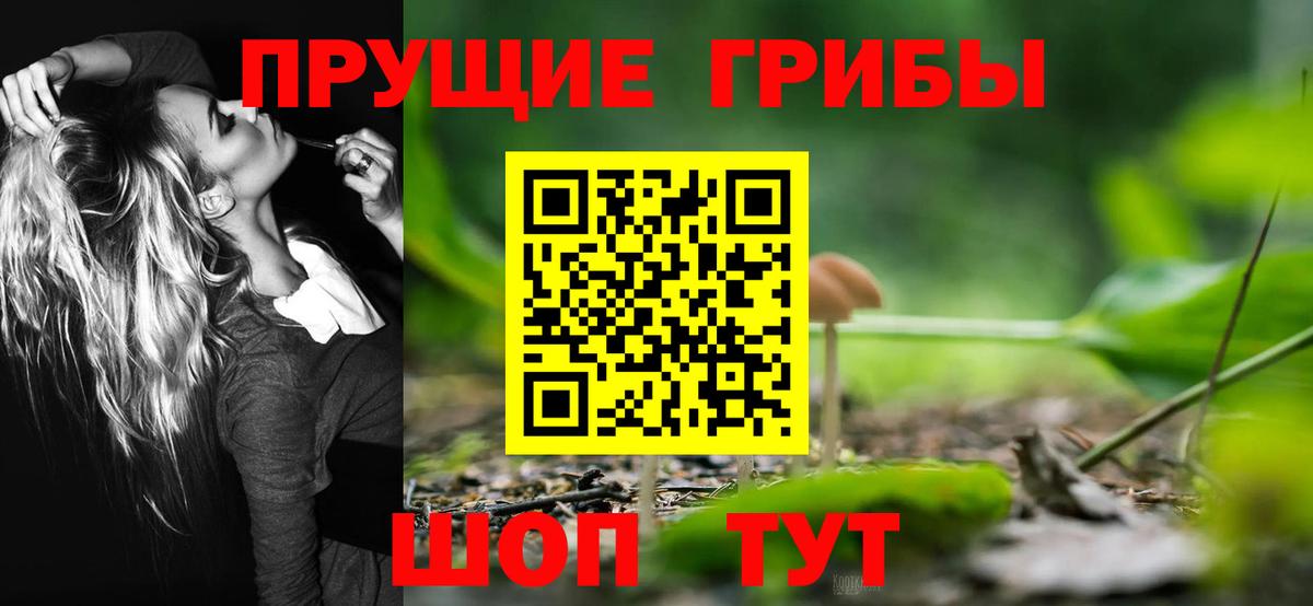 Псилоцибиновые грибы Psilocybe Лянтор